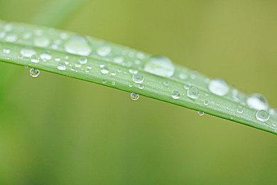 玩家自制《星空》mod 可改善NPC行为